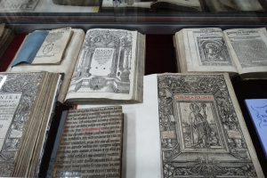 Музей рідкісної книги, Ніжин